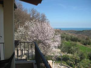a balcony with a tree with white flowers on it at bed & breakfast CASA JO in Lapedona