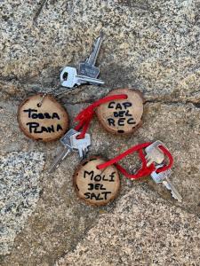 four pieces of cork keys on the ground at Ca L'Isidret in Lles