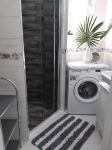 uma máquina de lavar roupa na casa de banho com um chuveiro em Wanderer 1 em Debrecen