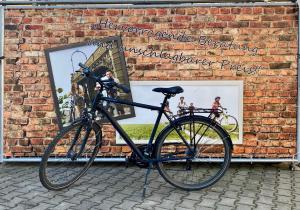 Vélo sur le terrain de l'établissement Gasthof Rebstock ou dans les environs