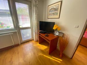 a living room with a television and a table with flowers on it at 3 Bedroom apartment in the part of the city in Banská Bystrica