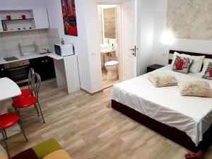 a bedroom with a bed and a kitchen and a bathroom at Studio Muncel in Constanţa