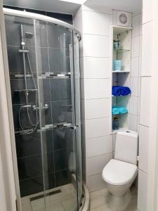 Koupelna v ubytování Studio Muncel