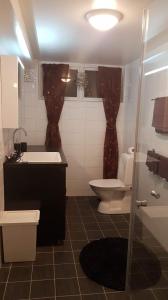 烏爾里瑟港的住宿－Hassellyckan，浴室配有卫生间、盥洗盆和淋浴。