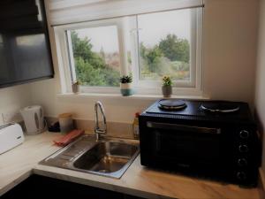Dapur atau dapur kecil di Super cosy self-catering studio flat