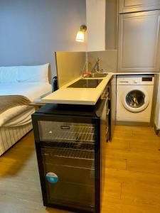 a small kitchen with a sink and a washing machine at Hollybush Guest House in Oxford