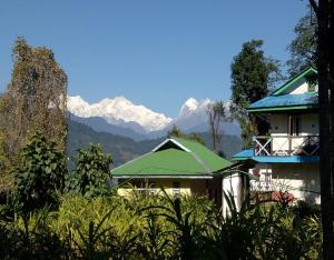 DentamChaayatal Heritage Home by StayApart的山地绿色屋顶度假屋