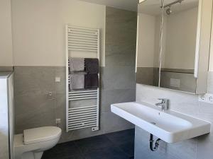 a bathroom with a sink and a toilet and a mirror at Pfahlbau, Ferienwohnung für 4 Personen - Erwachsene oder Kinder - in DE FEERJENHUSEN am Haubarg von Vollerwiek, Fertigstellung April 2020 in Vollerwiek +34 photos