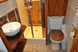 a bathroom with a toilet and a sink and a shower at Une escale à l'Écluse in Dijon