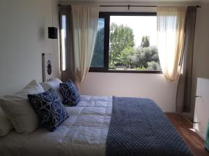 a bedroom with a bed with blue pillows and a window at Olivos de Terrada in Ciudad Lujan de Cuyo