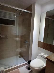 サンタ・マルタにあるHermoso apartamento, Pozos Colorados - Santa Martaのバスルーム(トイレ、ガラス張りのシャワー付)