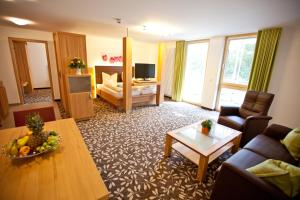 TV a/nebo společenská místnost v ubytování Hotel und Appartementhof Waldeck
