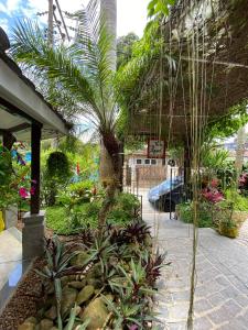 Vila Pequeá Pousada Ilhabela外面的花园
