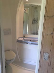 W łazience znajduje się umywalka, toaleta i lustro. w obiekcie Ristinge Ferielejligheder w mieście Humble