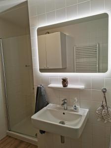 een badkamer met een wastafel, een spiegel en een douche bij Dünenglück in Buren