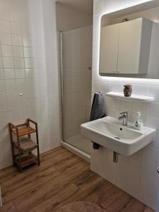 La salle de bains est pourvue d'un lavabo, d'un miroir et d'une douche. dans l'établissement Dünenglück, à Buren