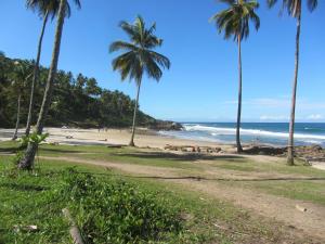 uma praia com palmeiras e o oceano em Casa do Miguel em Itacaré