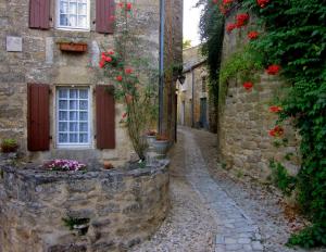 an alley in an old stone building with red flowers at La Petite Maison in Beynac-et-Cazenac