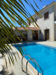 a palm tree sitting next to a swimming pool at EPISKOPI VILLA, Luxury 4 Bedroom with Pool - Limassol in Limassol