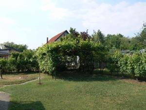 Vonkajšia záhrada v ubytovaní Holiday home in Balatonföldvar 36529