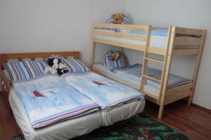 1 Schlafzimmer mit 2 Etagenbetten und einer Leiter in der Unterkunft Apartments in Ribnitz-Damgarten 36531 in Ribnitz-Damgarten