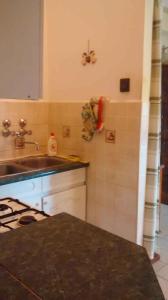 阿巴茲洛克的住宿－Holiday home Abadszalok/Theiss-See 27793，厨房配有水槽和台面