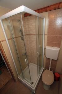 a small bathroom with a shower and a toilet at Holiday home in Golik - Gorski Kotar 14249 in Zagolik +20 photos