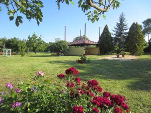 Galeriebild der Unterkunft Holiday home in Belavici/Istrien 33649 in Hreljići + 37 Fotos