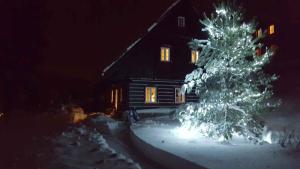 Holiday home in Horni Marsov 30398 v zimě