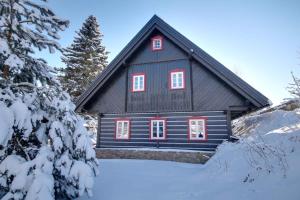 Holiday home in Horni Marsov 30398 v zimě