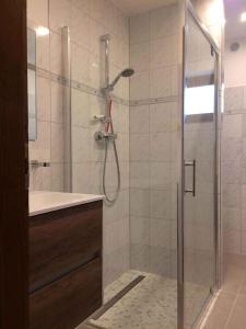 uma casa de banho com um chuveiro e um lavatório. em Apartments in Siofok/Balaton 36443 em Siófok