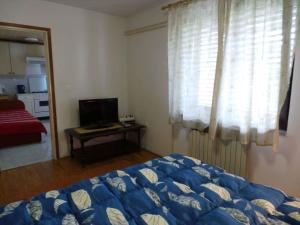 sypialnia z łóżkiem, telewizorem i oknem w obiekcie Apartments in Icici 15136 w mieście Ičići