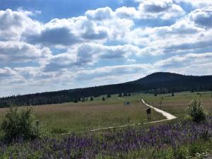 Loodusmaastik apartemendi lähedal