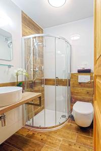 a bathroom with a glass shower and a toilet at Holiday home in Harrachov 33511 in Harrachov