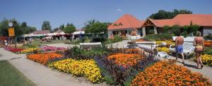 Fotografia z galérie ubytovania Holiday home Vonyarcvashegy/Balaton 31295 v destinácii Vonyarcvashegy