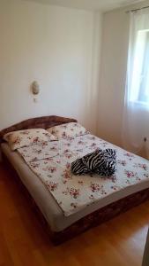 Galeriebild der Unterkunft Apartments in Jadranovo 33518 in Jadranovo