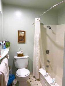 a bathroom with a toilet and a shower at Dawson House Lodge in Chemult