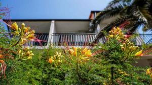 Vonkajšia záhrada v ubytovaní Apartments in Zdrelac - Insel Pasman 31078