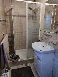een badkamer met een wastafel en een douche bij Ferienhaus Jung in Katzhütte
