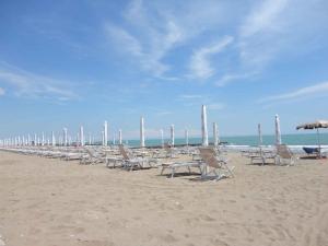 Spiaggia vicina o nei dintorni dell'appartamento