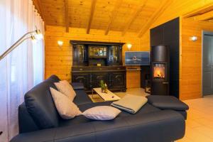 a living room with a black couch and a fireplace at Holiday home in Zempin (Seebad) 3240 in Zempin
