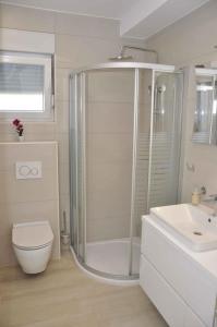 La salle de bains est pourvue d'une douche, de toilettes et d'un lavabo. dans l'établissement Apartment in Ljubac/Zadar Riviera 31380, à Ljubač