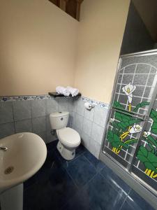 a bathroom with a white toilet and a sink at Casa Cultural Mindo in Mindo +33 photos