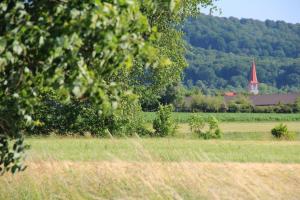 a field with a barn and a red tower in the distance at Rotes Ross Marktbergel in Marktbergel