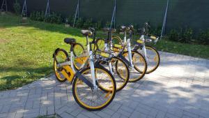 Jazda na bicykli v okolí ubytovania Apartment in Siofok - Balaton 31138