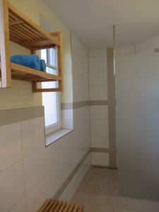 a bathroom with a shower and a window at Apartment in Börgerende-Rethwisch 34953 in Börgerende-Rethwisch