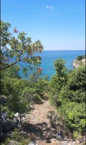 Galeriebild der Unterkunft Holiday home in Starigrad-Paklenica 35636 in Starigrad-Paklenica