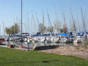 SomogyfokにあるApartment in Siofok/Balaton 19976の船の束がマリーナに停泊