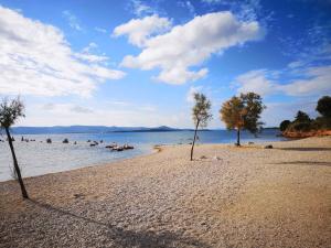 Fotografie z fotogalerie ubytování Apartment in Biograd na Moru 35667 v destinaci Biograd na Moru + 21 fotografií