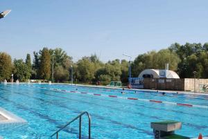 The swimming pool at or close to Holiday home in Leanyfalu/Donauknie 35231 Még 11 kép